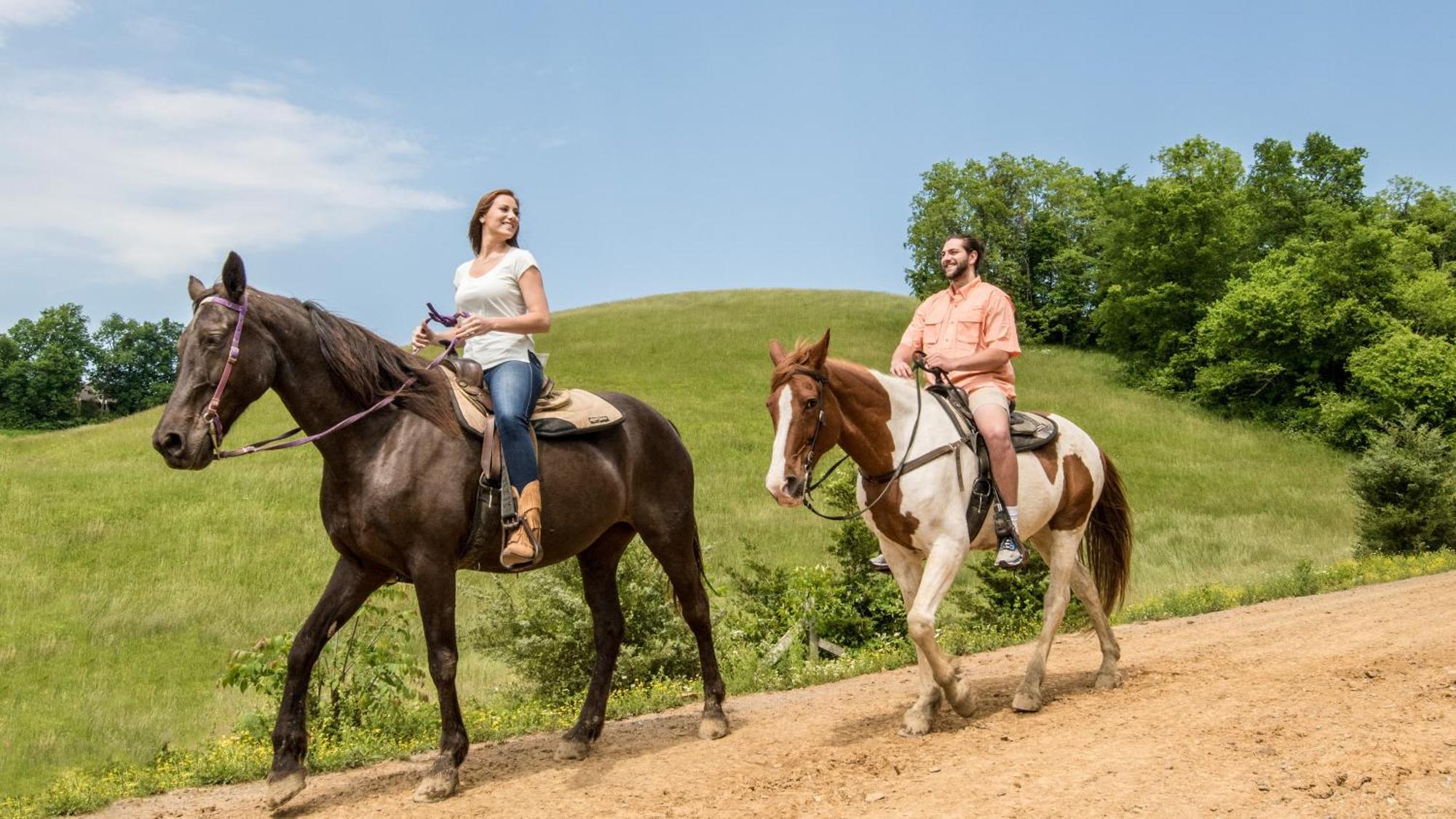 A Walk In The Clouds By Eden Crest Villa Sevierville Bagian luar foto